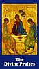 DIVINE PRAISES PRAYER CARD