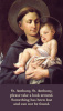 ***NEW*** St. Anthony Lost Object Prayer Card