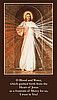 ***NEW*** Divine Mercy
Prayer Card