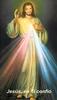SPANISH** Divine Mercy Chaplet Prayer Card