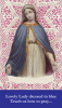 ***NEW*** Lovely Lady Dressed in Blue Prayer Card