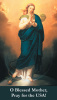 ***NEW*** Prayer for America Holy Card