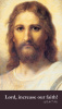 ***NEW*** Act of Faith Prayer Card