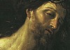***New***CROWN OF THORNS
